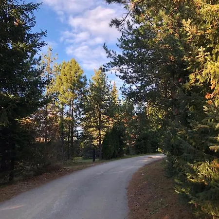 Apartment White- Pekovic