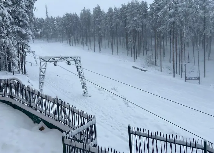 White- Pekovic 兹拉蒂博尔