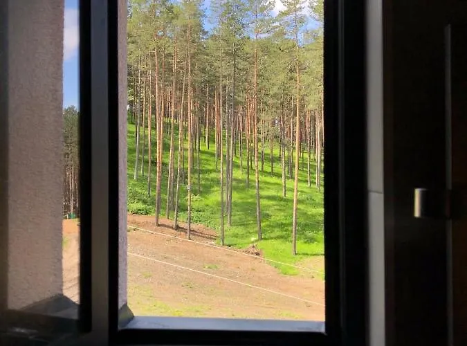 White- Pekovic 公寓 *