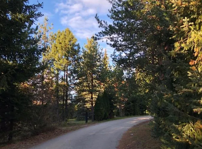 公寓 White- Pekovic