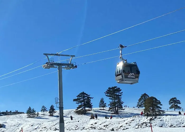 White- Pekovic 公寓 *